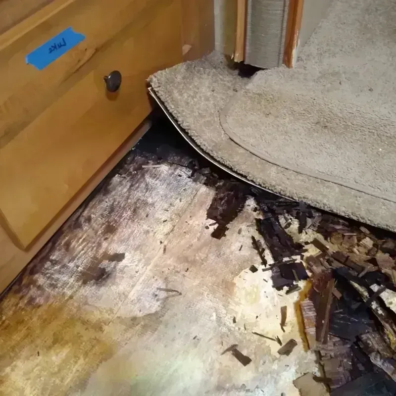 Wood Floor Water Damage in Clayton, NJ